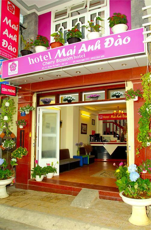 Mai Anh Dao Hotel ดาลัด ภายนอก รูปภาพ